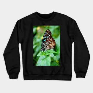 Black and Blue Butterfly Crewneck Sweatshirt
